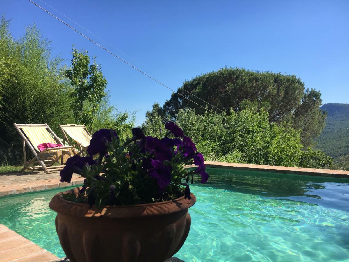 Tenda Glamping Vista Sulla Valle - Podere Di Maggio Santa Fiora Zewnętrze zdjęcie